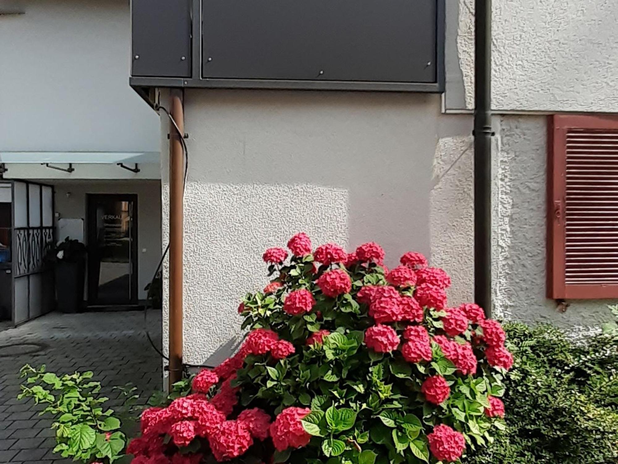 Ferienwohnung Im Fischerhaeusle Nonnenhorn Esterno foto